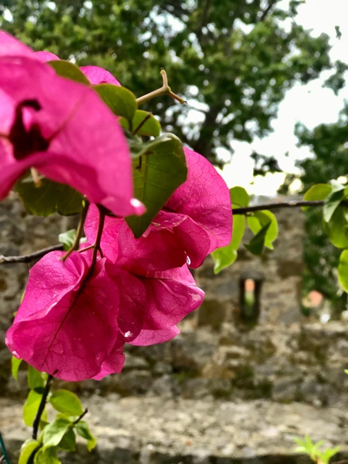 Sideroporta Castle Nafpaktos Guest House Exterior foto